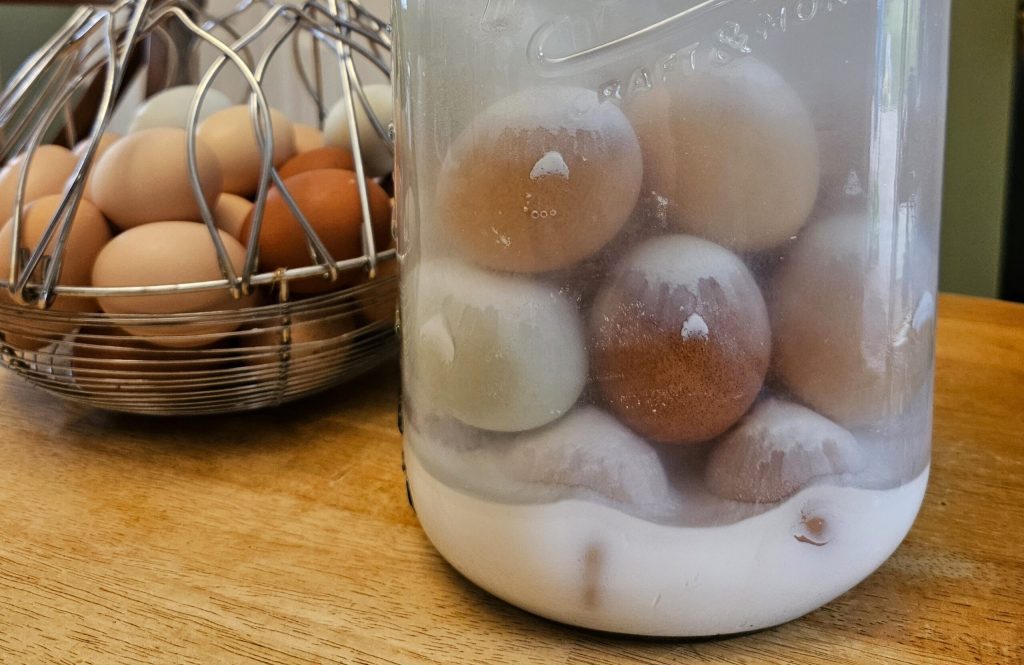 Do Eggs Freeze Outside