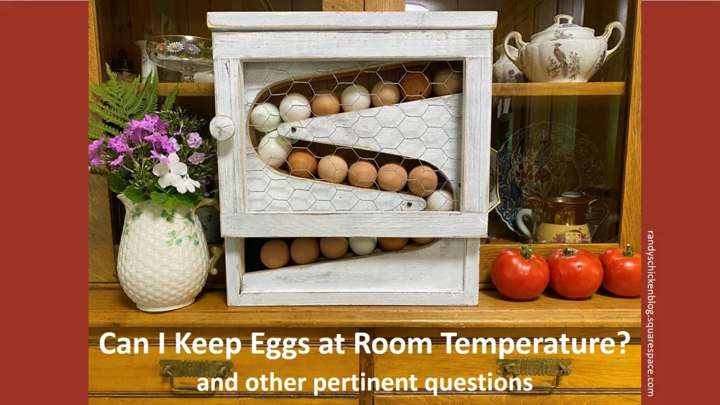 Do Farm Fresh Eggs Have to Be Refrigerated