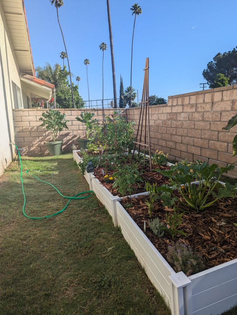 Do I Need to Line My Raised Garden Bed