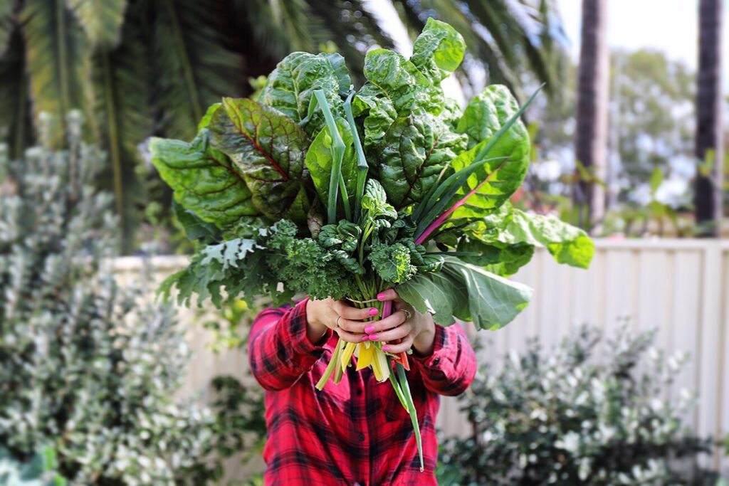 Do Plants Produce Their Own Food