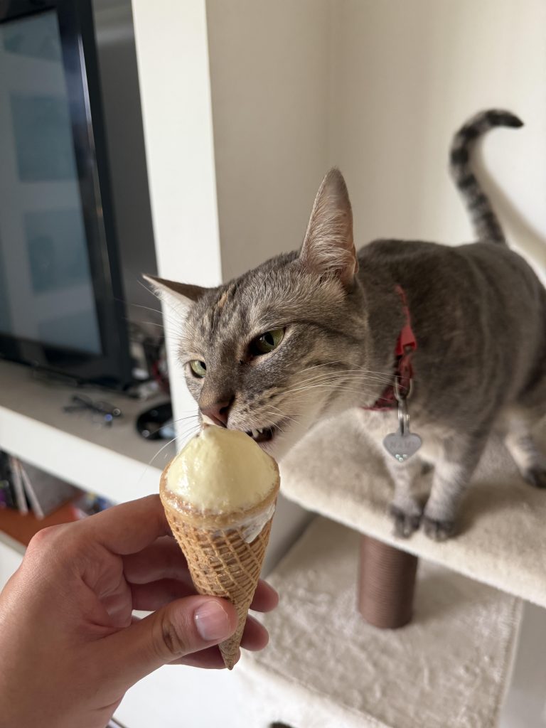 Do They Make Ice Cream for Cats
