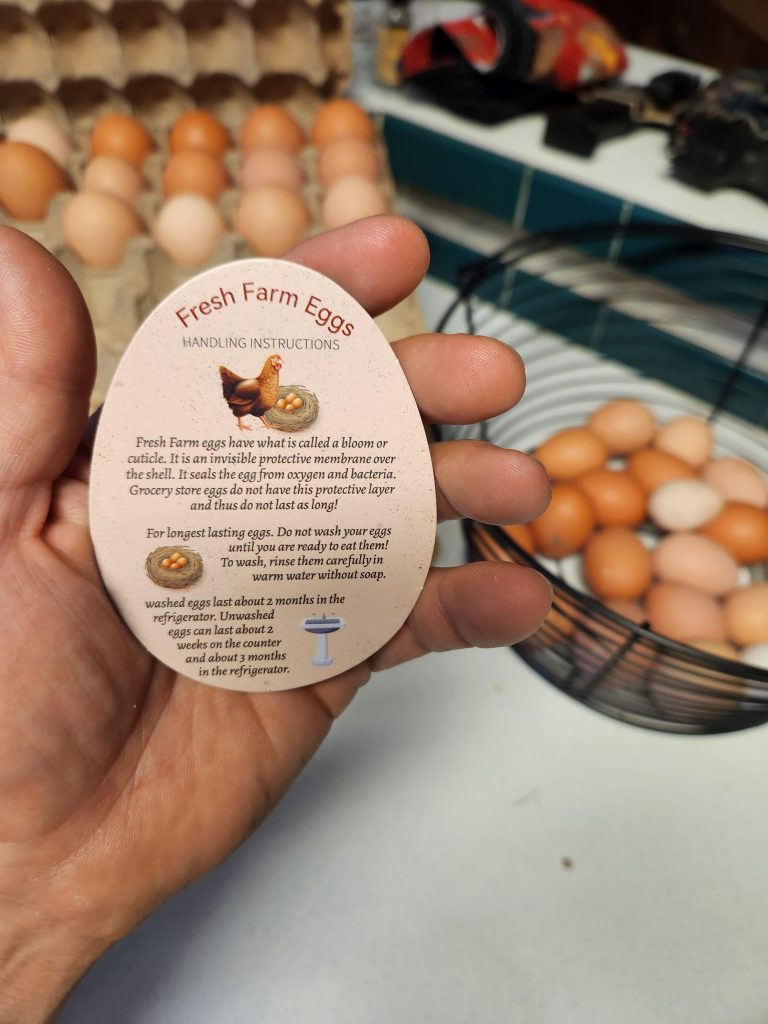 Do You Have to Refrigerate Unwashed Eggs
