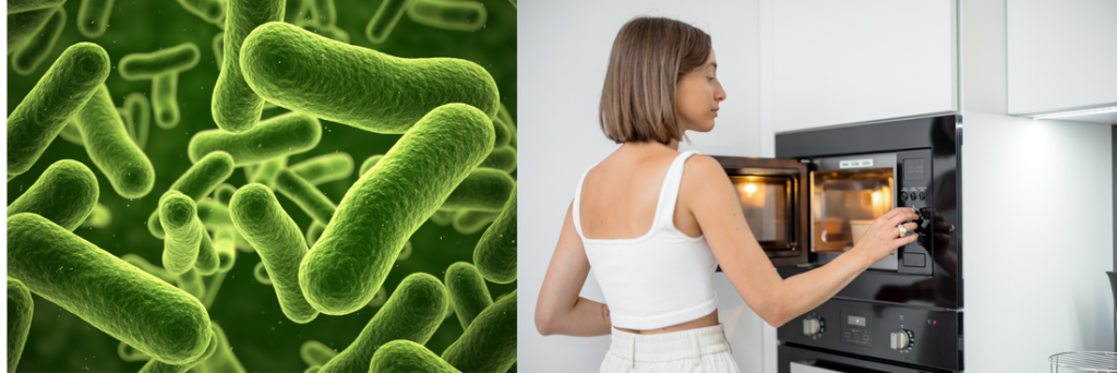 Does a Microwave Oven Kill Bacteria: Truths You Need to Know &ndash; buzzlyo