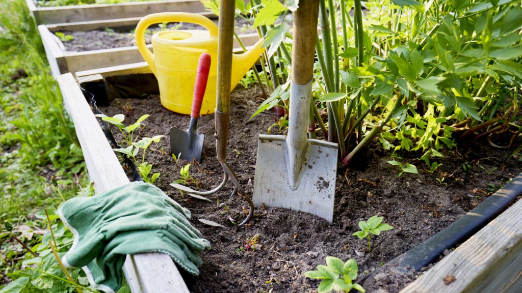 Does Raised Garden Bed Need Drainage