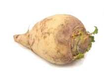 Does Rutabaga Need to Be Refrigerated