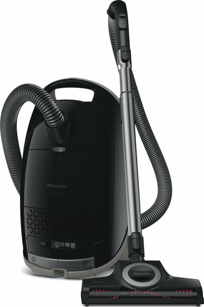 Does the Vacuum Kill Spiders