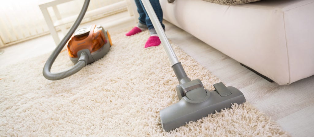 Does Vacuuming Get Rid of Fleas