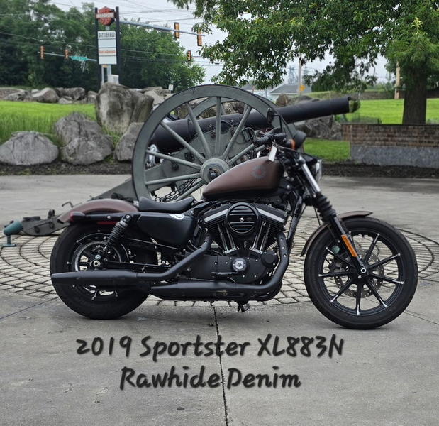 Harley Sportster Xl883N