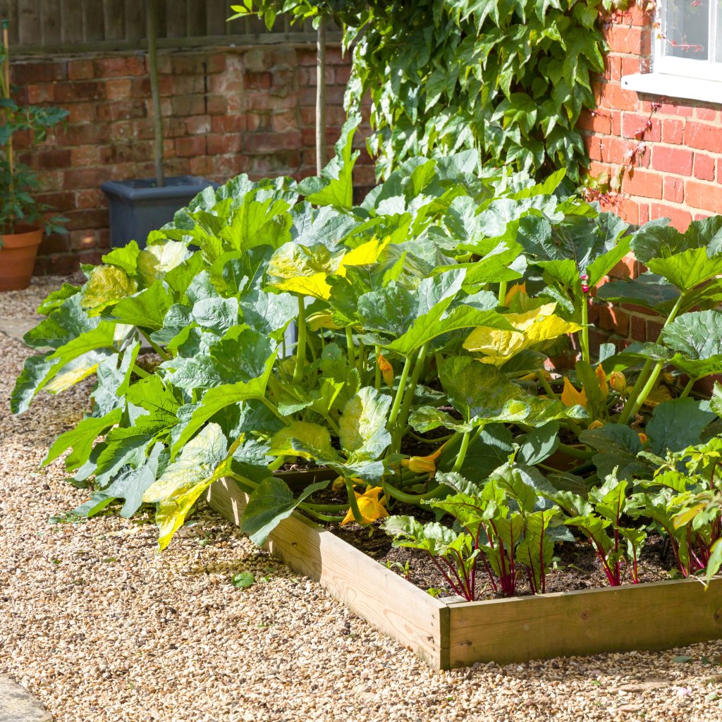 How Deep Do Raised Garden Beds Need to Be