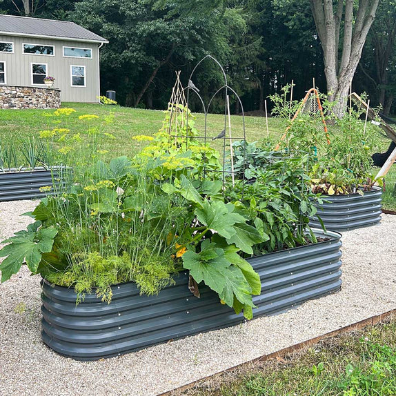 How Deep to Make Raised Garden Beds