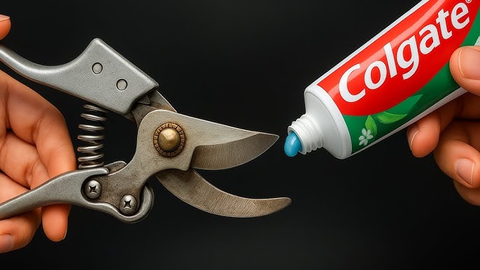How Do I Sharpen Pruning Shears