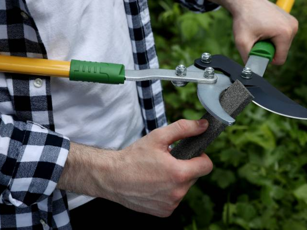 How Do You Sharpen Garden Pruners