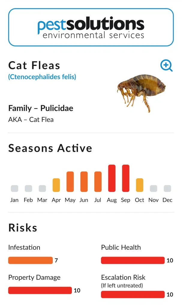 How Long Can Fleas Live in a Vacuum Cleaner