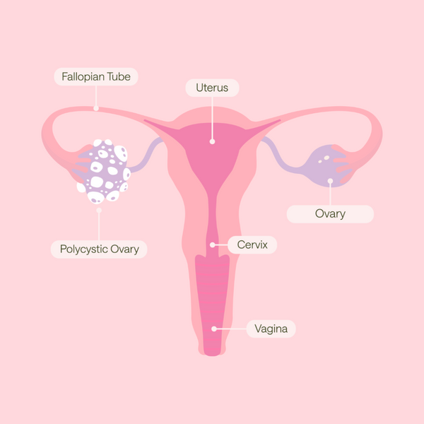 How Long Can You Keep Placenta in Freezer