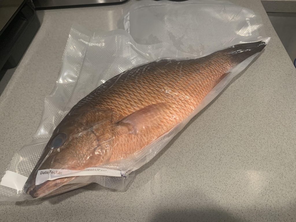 How Long Does Fish Last in the Freezer Vacuum Sealed