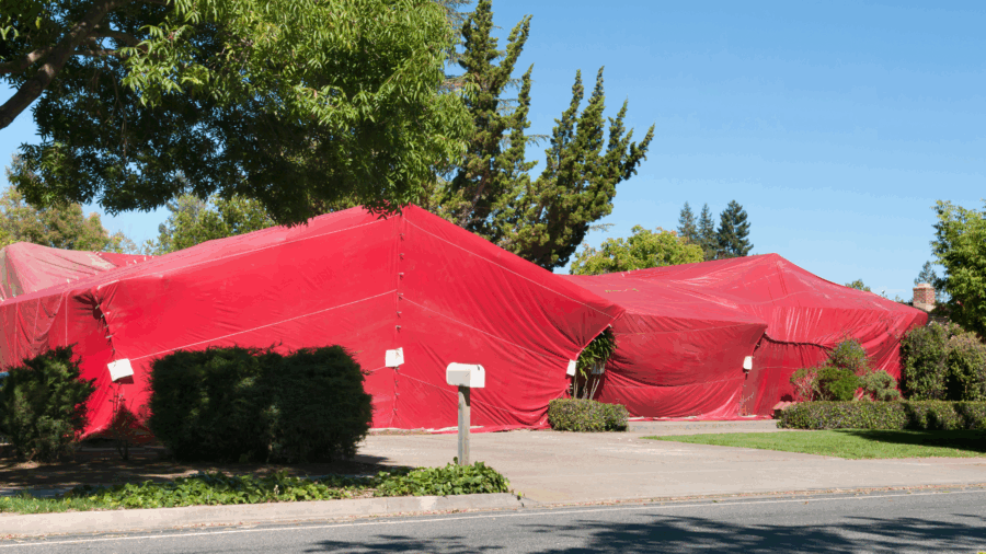 How Long to Tent a House for Termites