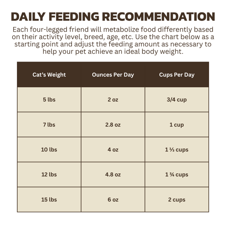 How Many Cups are in 1 Lb Freeze Dried Bag