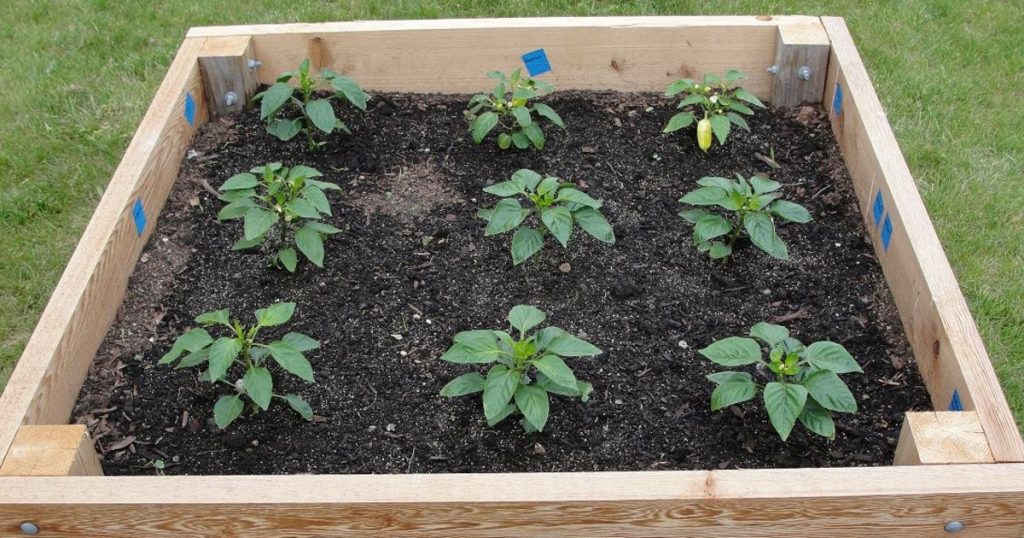 How Many Inches of Dirt in a Raised Garden Bed