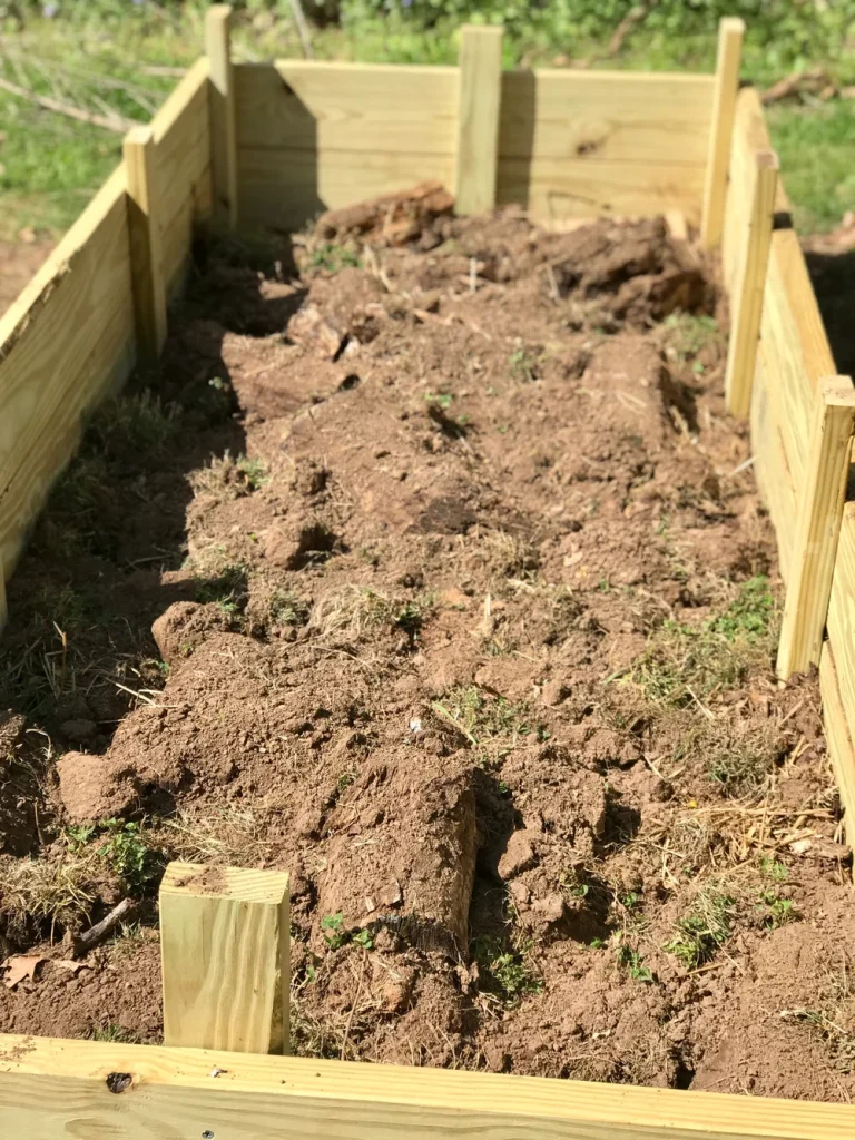 How Much Dirt for Raised Garden Bed
