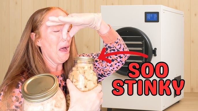 How Much Energy Does a Freeze Dryer Use
