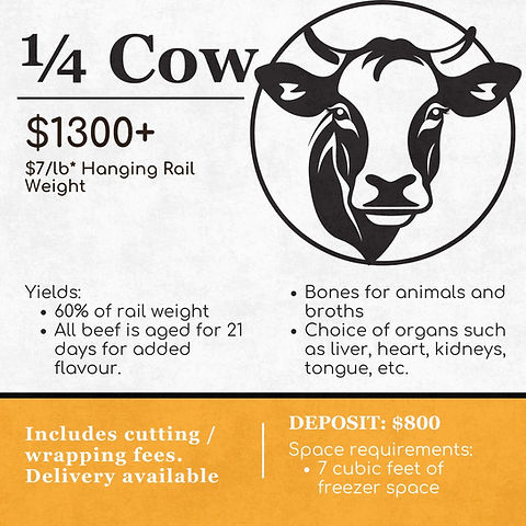 How Much Freezer Space for 1/4 Cow