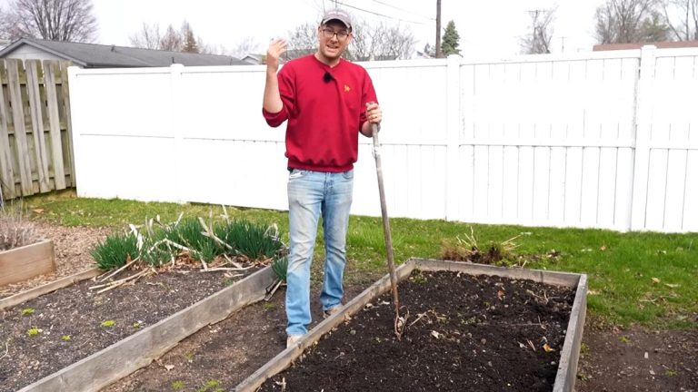 How Much Soil to Fill a Raised Garden Bed: Ultimate Guide & Tips – buzzlyo