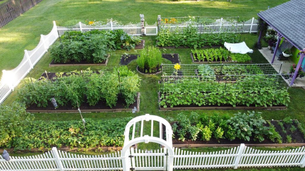 How Much Space between Raised Garden Beds