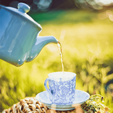 How Much Water is in a Cup of Tea