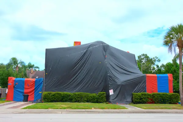 How Often Should You Tent for Termites in Florida