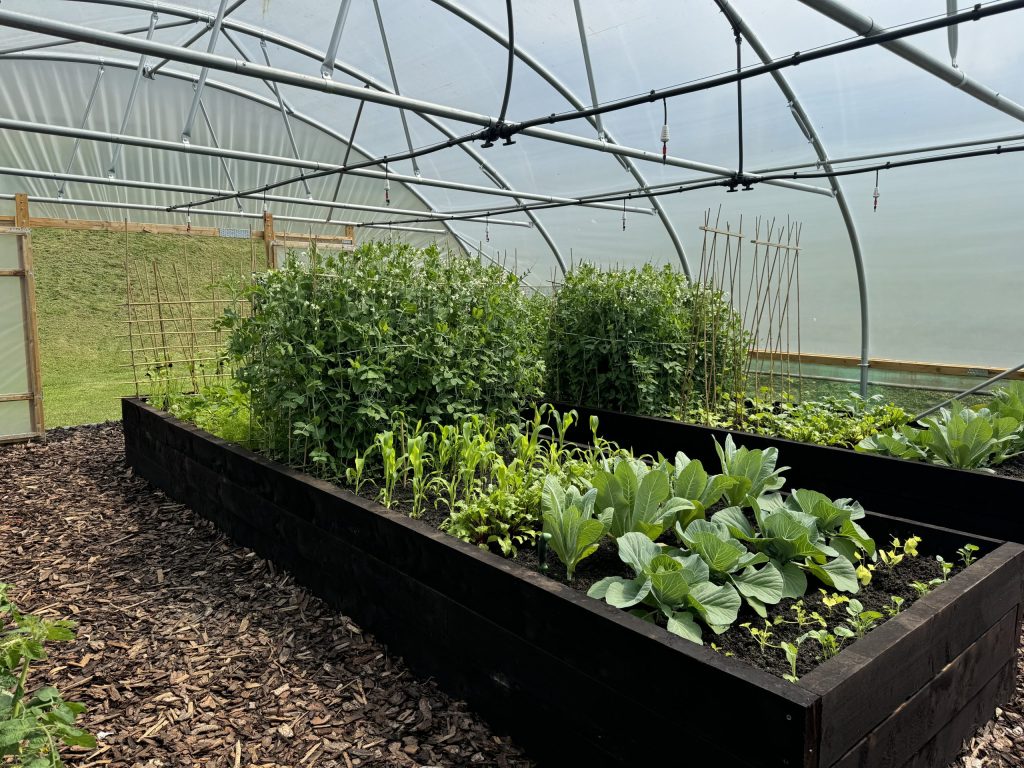 How Should I Layer My Raised Garden Bed