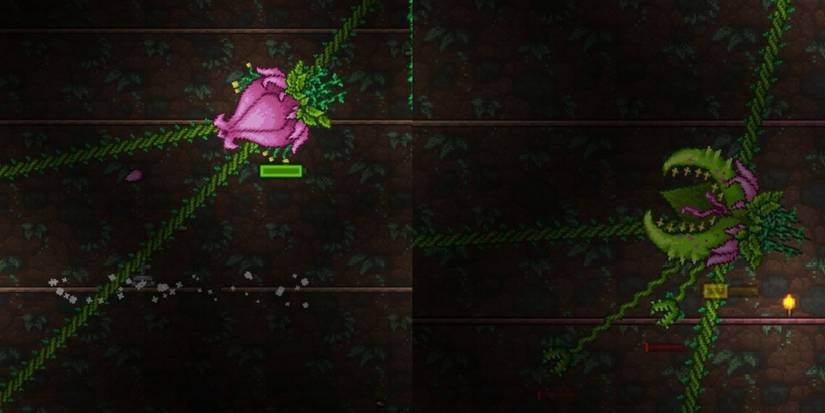How to Beat Plantera