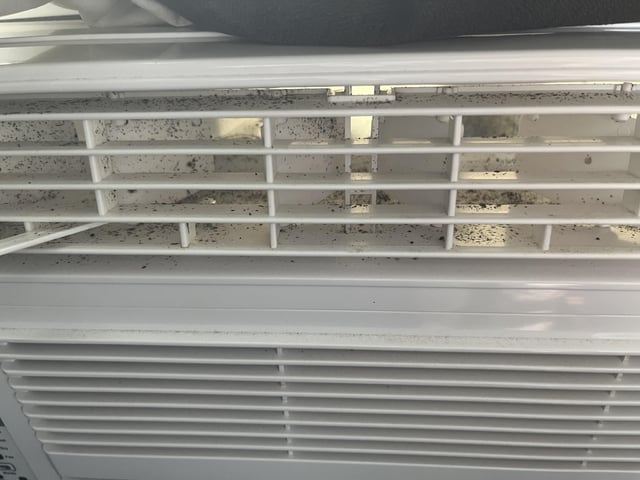 How to Clean Black Mold from Air Conditioner
