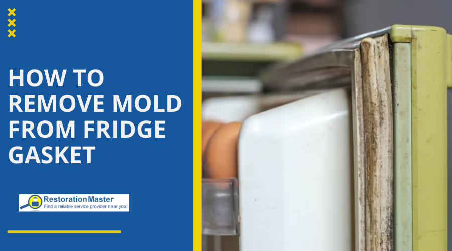 How to Clean Black Mold from Refrigerator