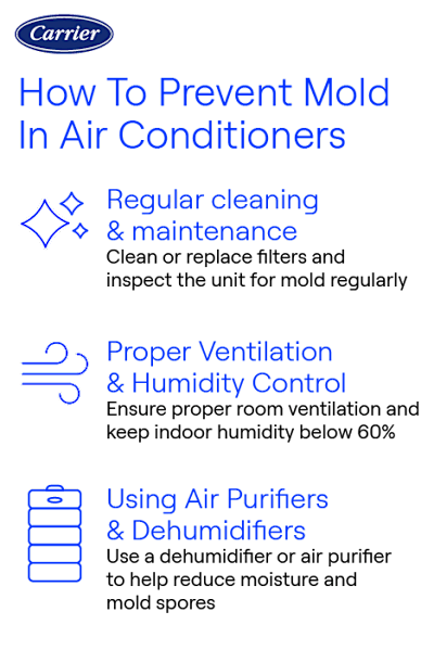 How to Clean Mold off Air Conditioner