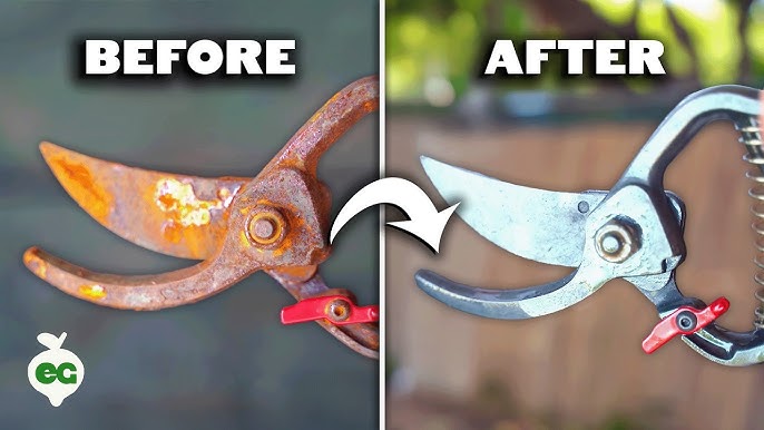 How to Clean Pruners