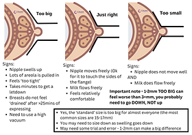 How to Determine Correct Flange Size for Breast Pump