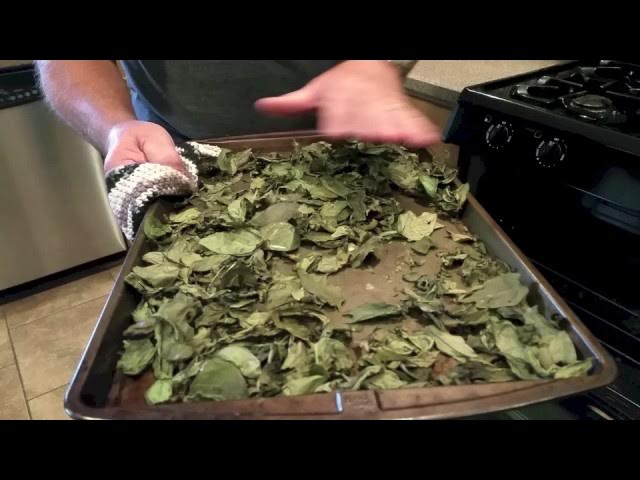 How to Dry Herbs in Microwave Oven