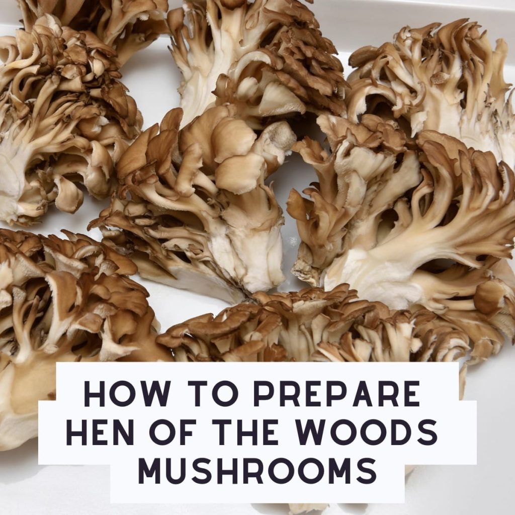 How to Freeze Hen of the Woods Mushrooms