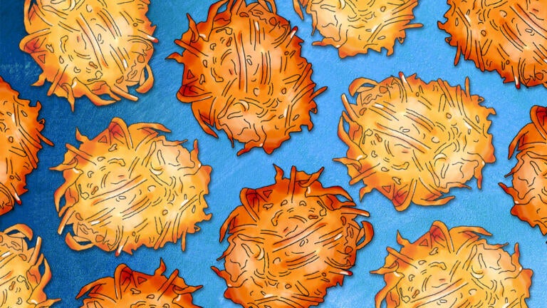 How to Freeze Latkes