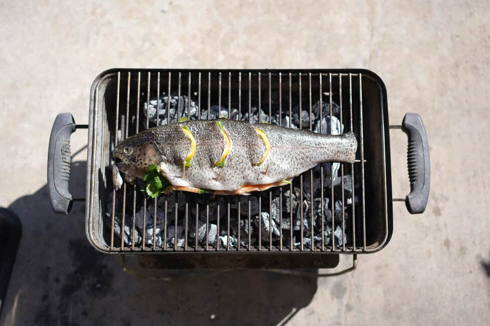 How to Grill Fish on a Charcoal Grill