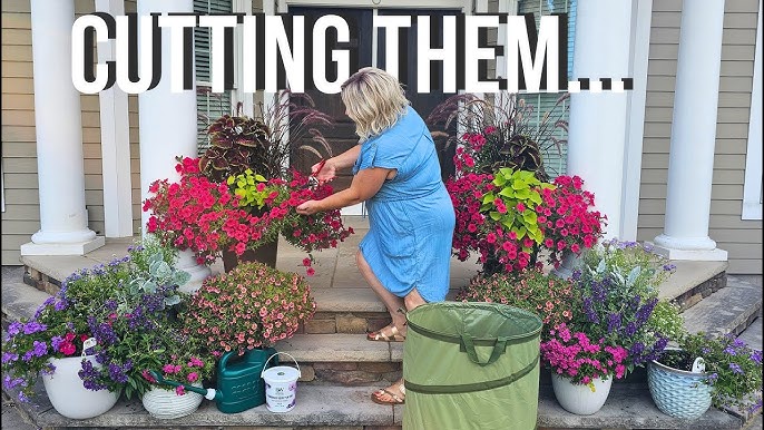 How to Hang Planters on Porch