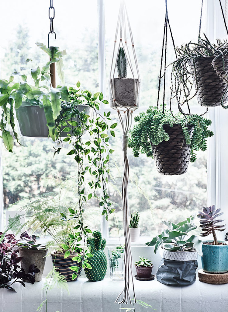 How to Hang Planters on Wall
