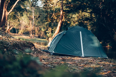 How to Keep Bugs Out of Tent: Ultimate Tips for a Pest-Free Camping ...