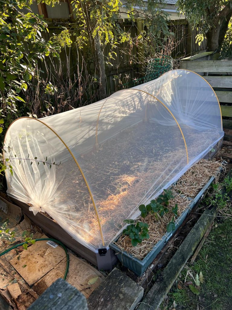 How to Keep Cats Out of Raised Garden Beds