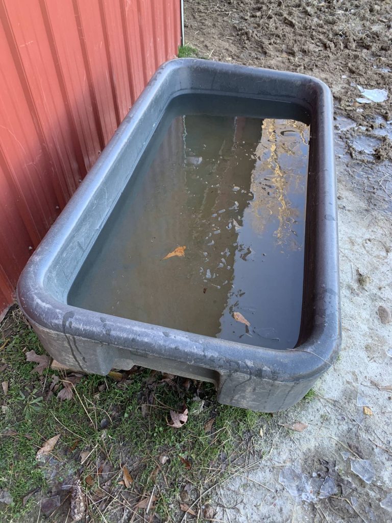 How to Keep Horse Water from Freezing