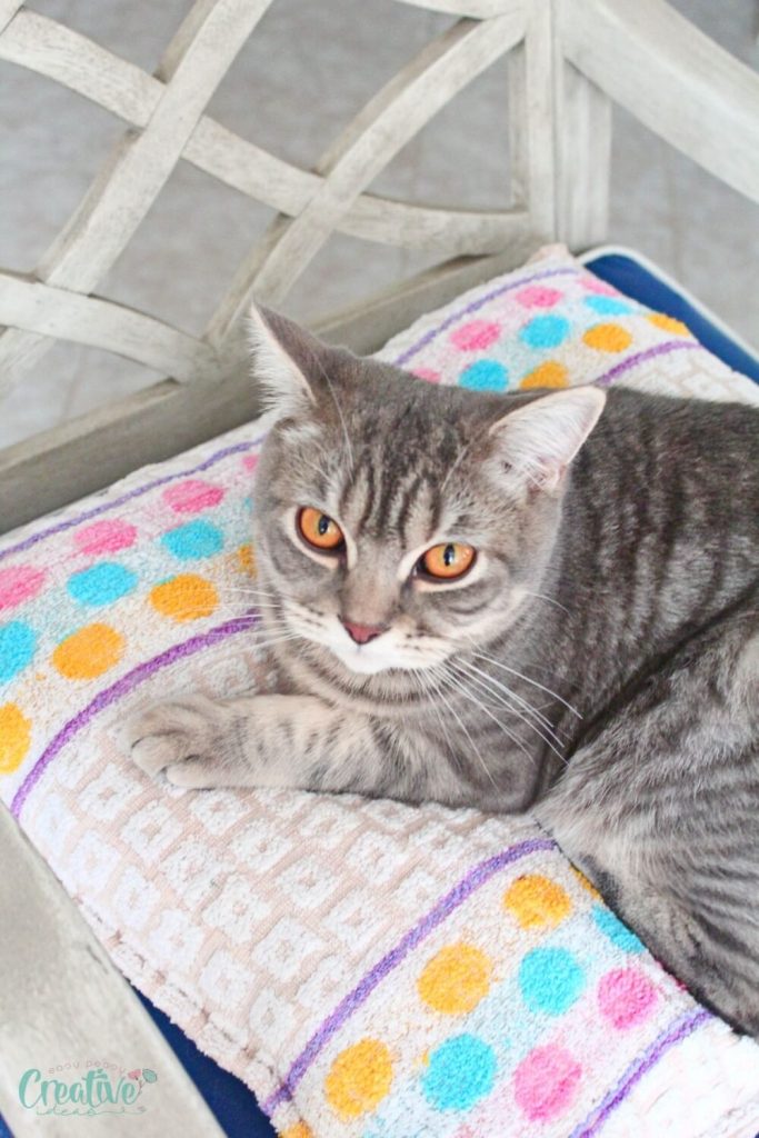 How to Make a Cat Sleeping Bag