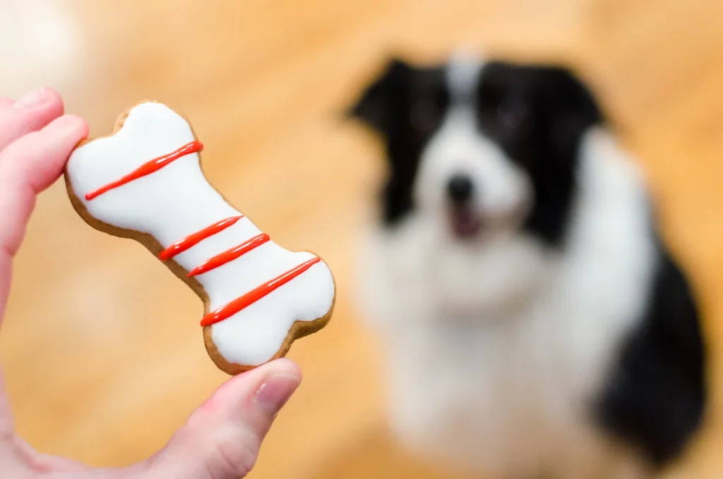 How to Make Icing for Dog Treats
