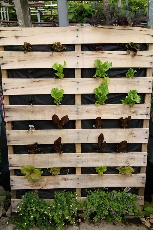 How to Make Pallet Planters