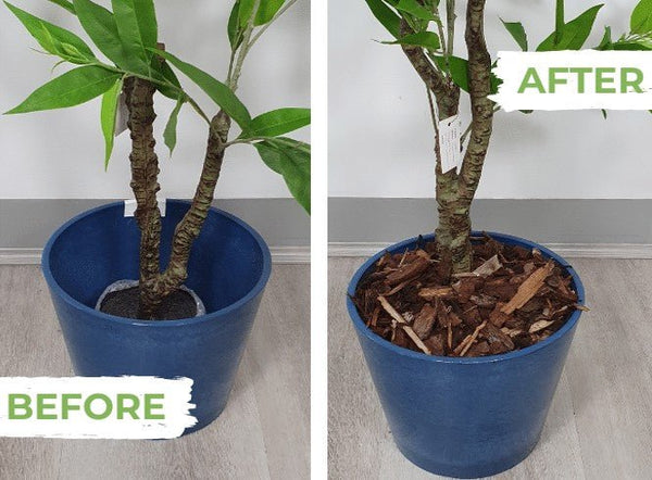 How to Pick the Best Planters for Your Artificial Plants