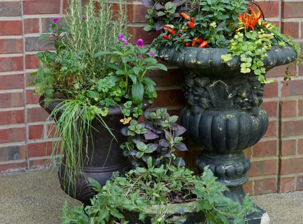 How to Plant Large Planters